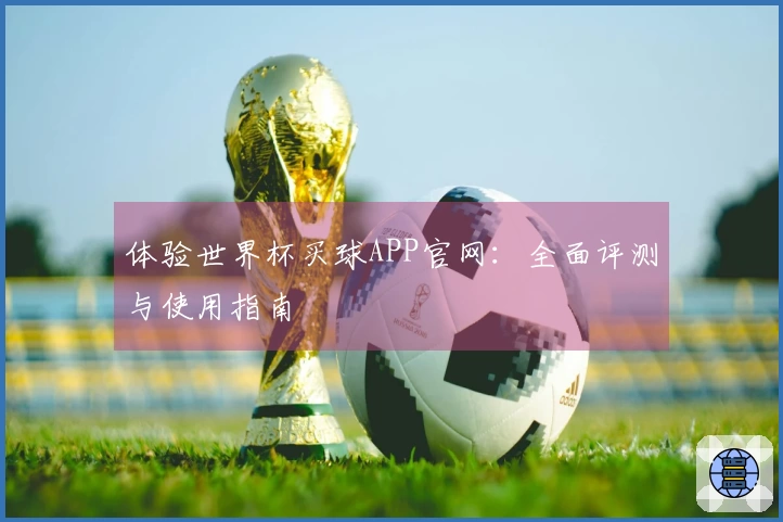 体验世界杯买球APP官网：全面评测与使用指南