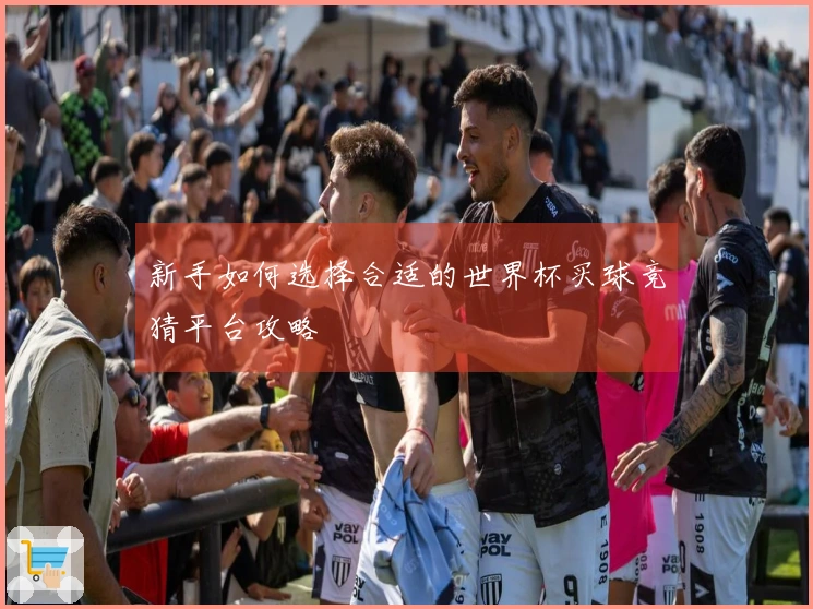 新手如何选择合适的世界杯买球竞猜平台攻略
