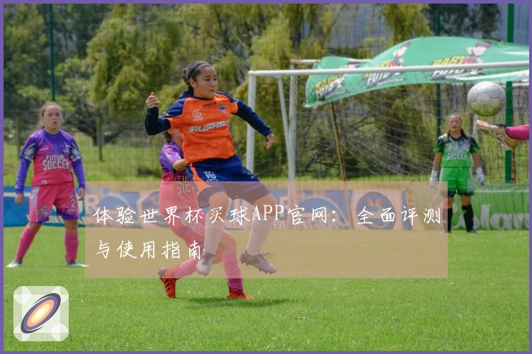 体验世界杯买球APP官网:全面评测与使用指南