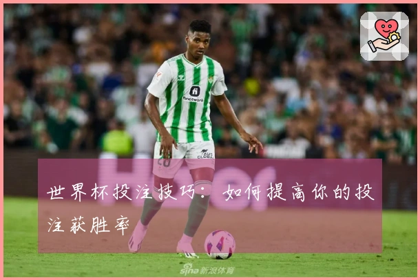 世界杯投注技巧：如何提高你的投注获胜率