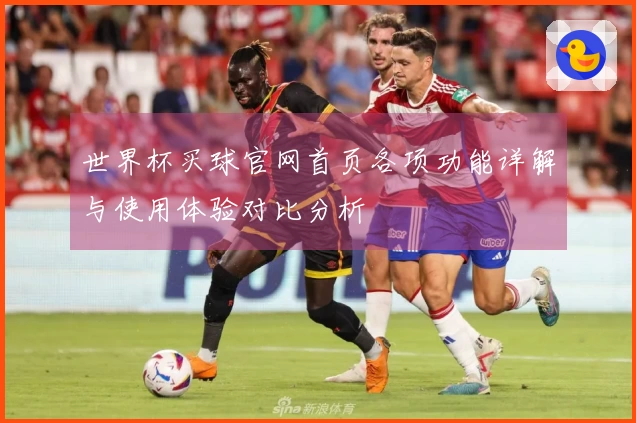 世界杯买球官网首页各项功能详解与使用体验对比分析