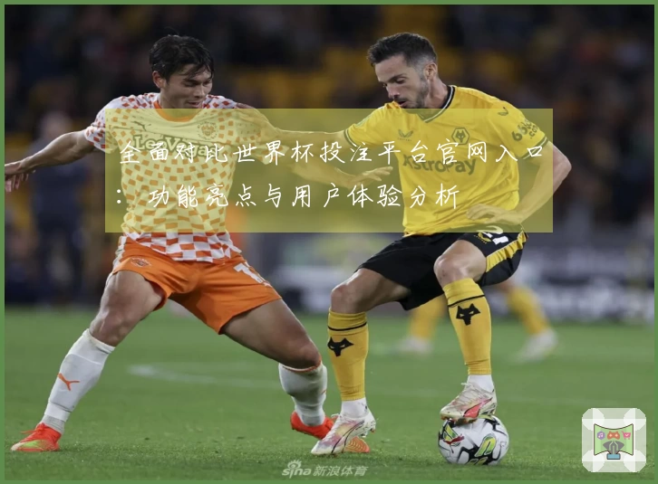 全面对比世界杯投注平台官网入口：功能亮点与用户体验分析
