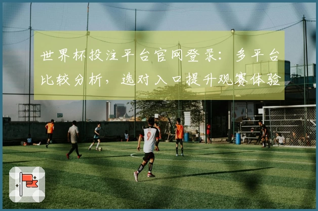 世界杯投注平台官网登录:多平台比较分析,选对入口提升观赛体验