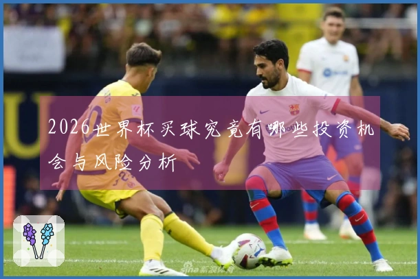 2026世界杯买球究竟有哪些投资机会与风险分析