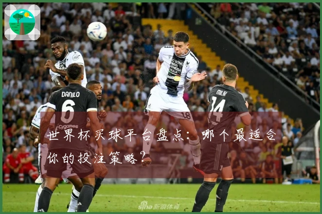 世界杯买球平台盘点：哪个最适合你的投注策略？