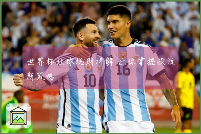 世界杯让球规则详解 让你掌握投注新策略